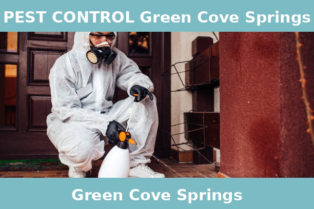 PEST CONTROL Green Cove Springs